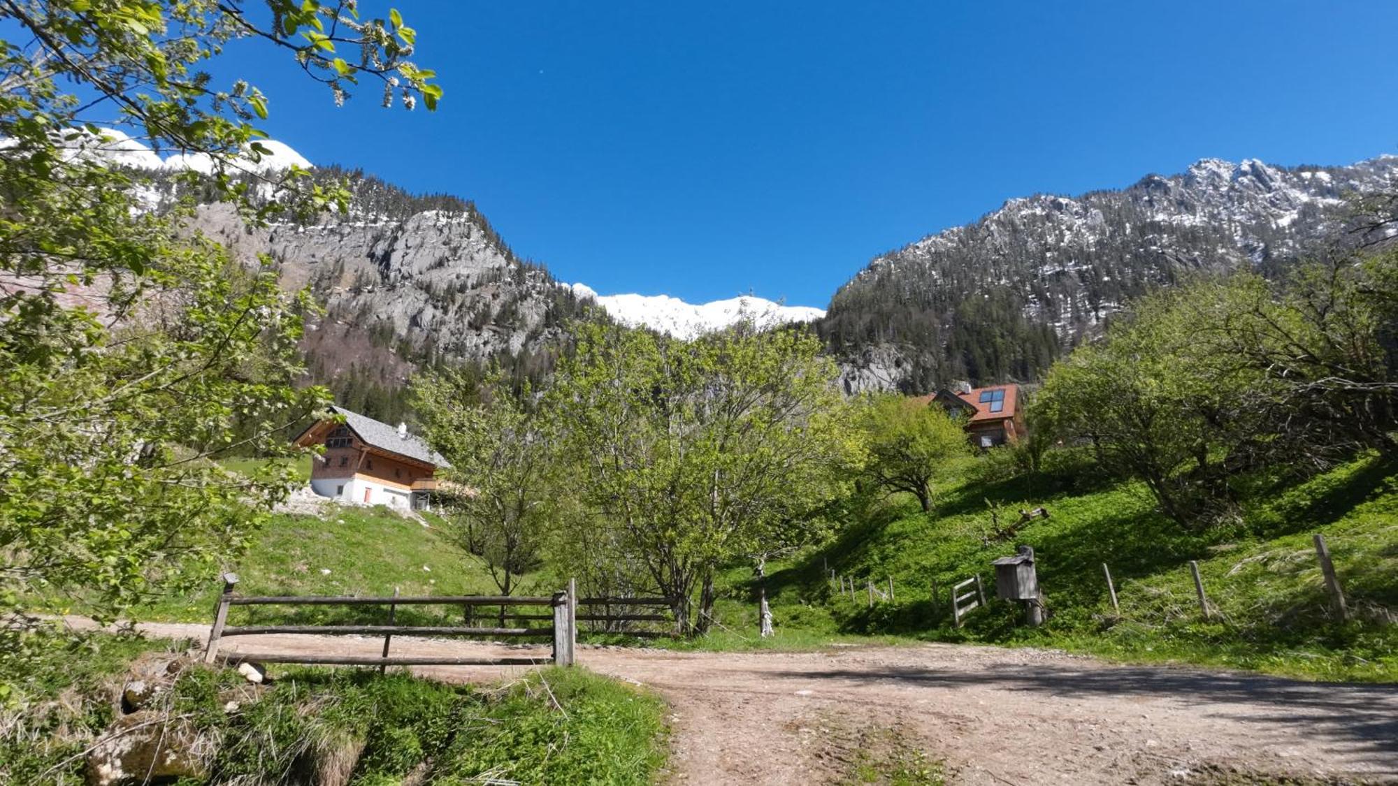 Villa Haus 1683 - Wolfbauer à Johnsbach Extérieur photo